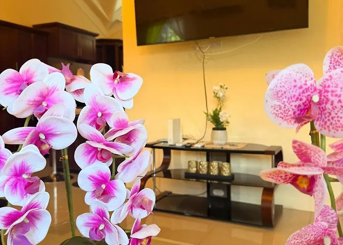 Royal Palm Luxury Holiday home *